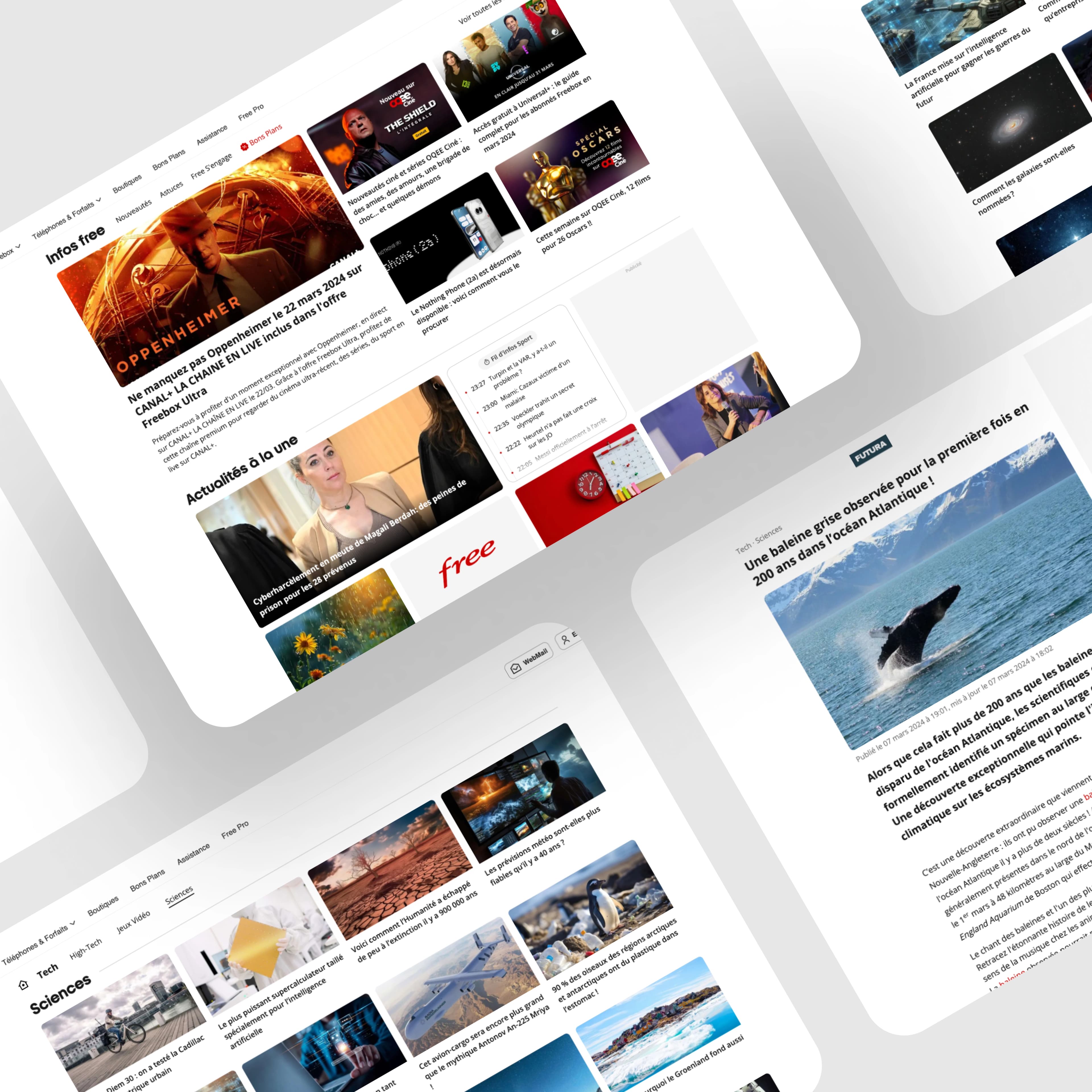 screenshot-Portail Free